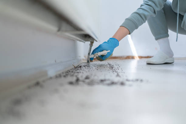 Best Emergency Pest Control  in Sanford, NC